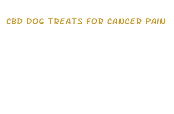 cbd dog treats for cancer pain