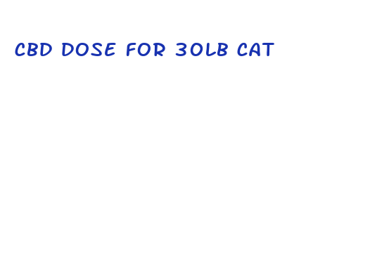 cbd dose for 30lb cat