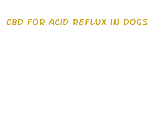 cbd for acid reflux in dogs