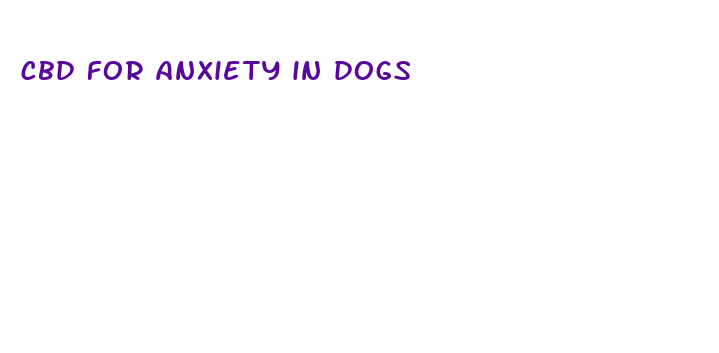 cbd for anxiety in dogs