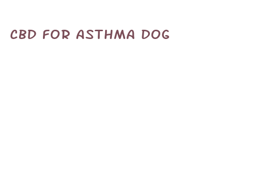 cbd for asthma dog