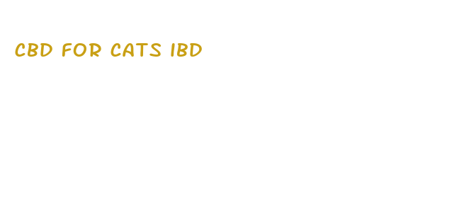 cbd for cats ibd