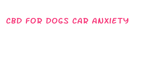 cbd for dogs car anxiety