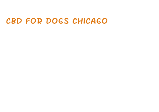 cbd for dogs chicago