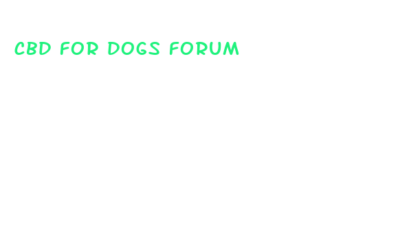 cbd for dogs forum