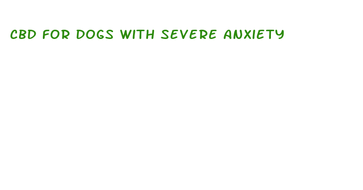 cbd for dogs with severe anxiety