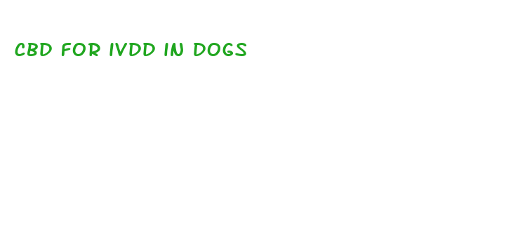 cbd for ivdd in dogs