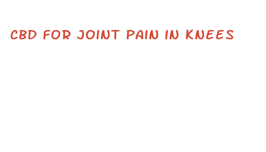 cbd for joint pain in knees