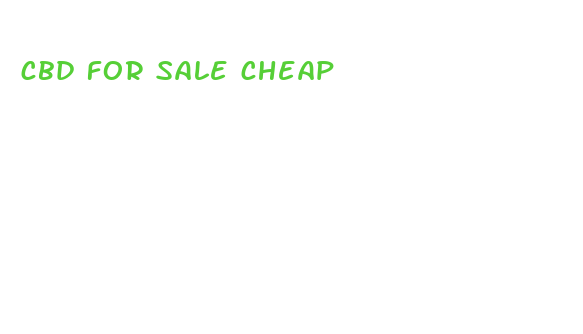 cbd for sale cheap