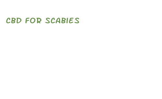 cbd for scabies