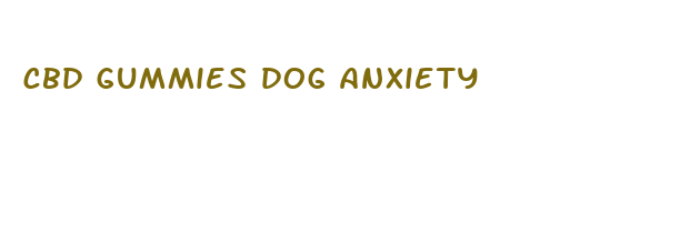 cbd gummies dog anxiety