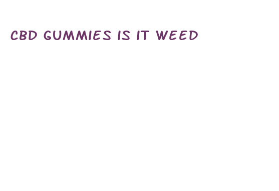 cbd gummies is it weed