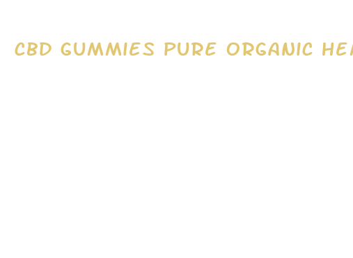 cbd gummies pure organic hemp extract 300mg para que sirve