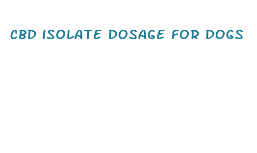 cbd isolate dosage for dogs