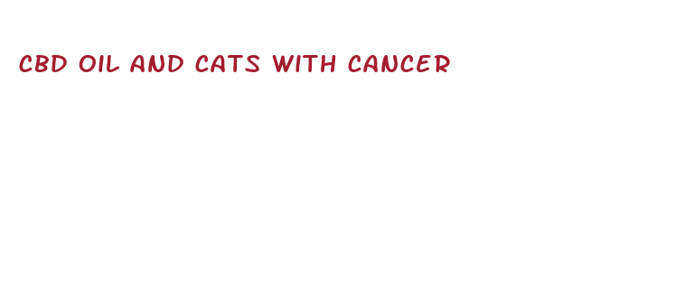 cbd oil and cats with cancer