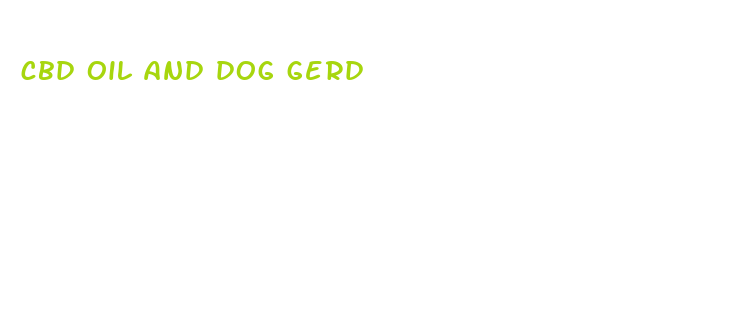 cbd oil and dog gerd