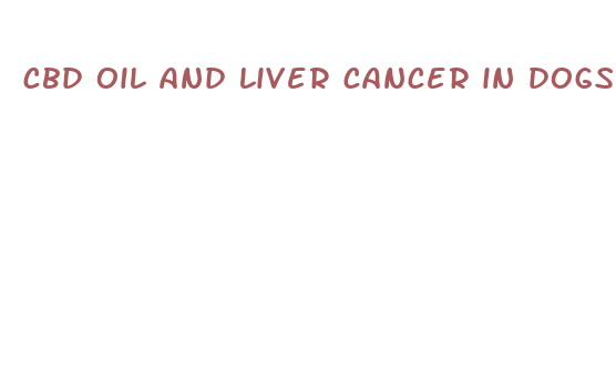 cbd oil and liver cancer in dogs