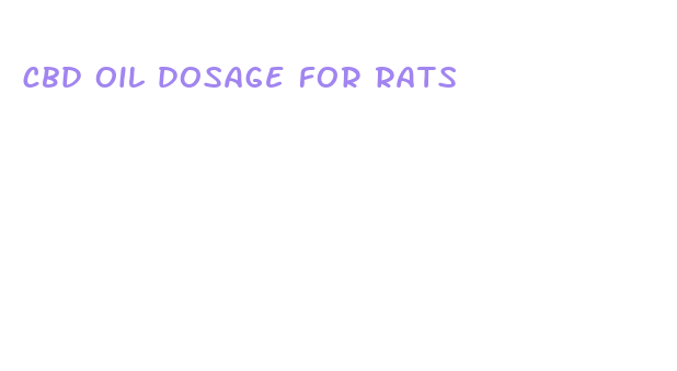 cbd oil dosage for rats