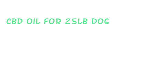 cbd oil for 25lb dog