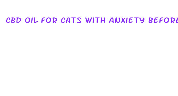 cbd oil for cats with anxiety before going to vet