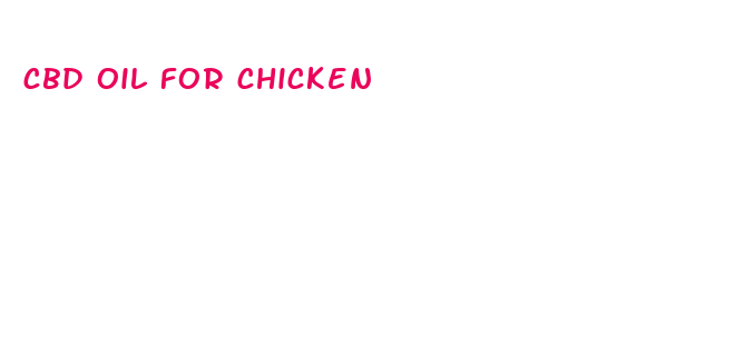 cbd oil for chicken