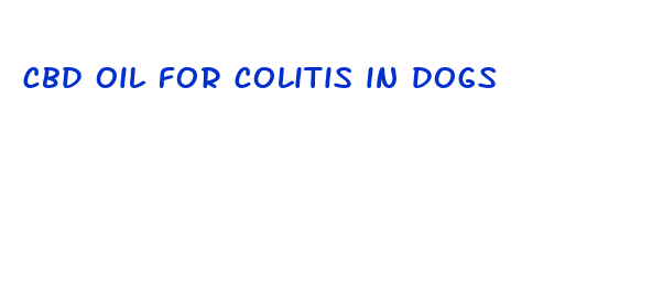 cbd oil for colitis in dogs