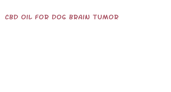 cbd oil for dog brain tumor