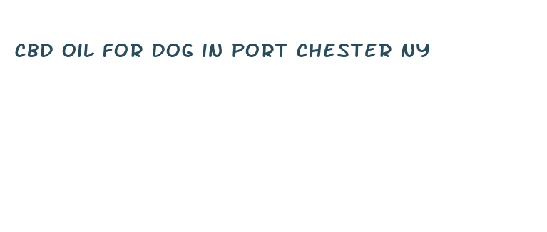 cbd oil for dog in port chester ny