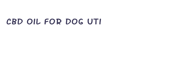 cbd oil for dog uti