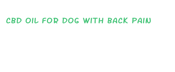 cbd oil for dog with back pain