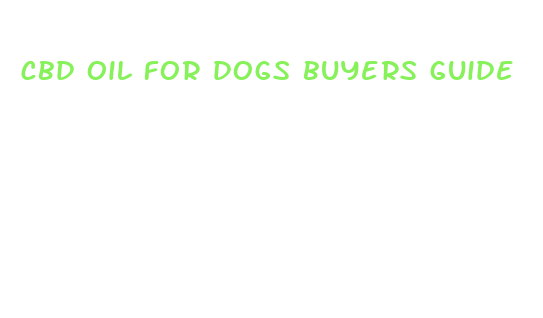 cbd oil for dogs buyers guide