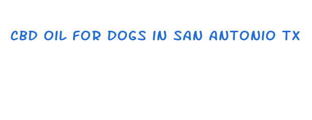 cbd oil for dogs in san antonio tx