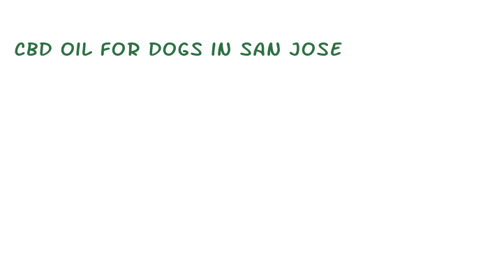 cbd oil for dogs in san jose