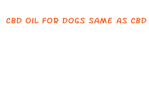 cbd oil for dogs same as cbd oil for humans