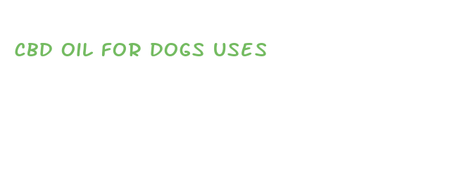 cbd oil for dogs uses