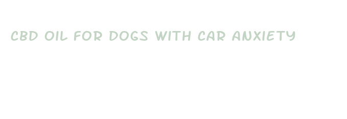 cbd oil for dogs with car anxiety