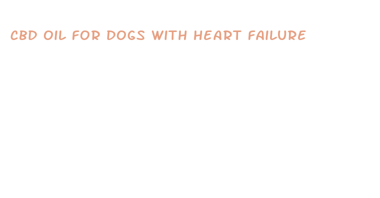 cbd oil for dogs with heart failure