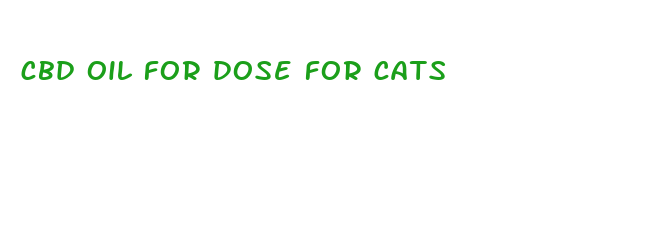 cbd oil for dose for cats