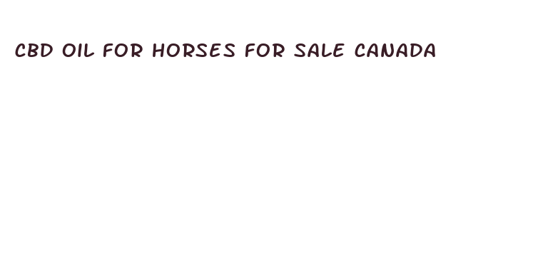 cbd oil for horses for sale canada