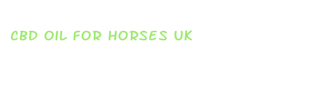 cbd oil for horses uk