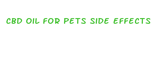 cbd oil for pets side effects