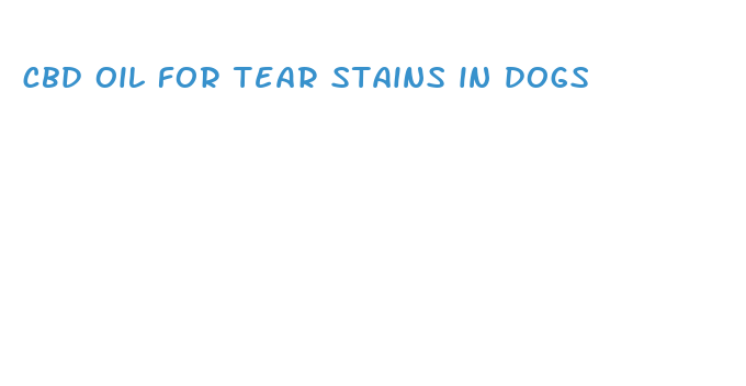 cbd oil for tear stains in dogs