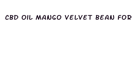 cbd oil mango velvet bean for libido