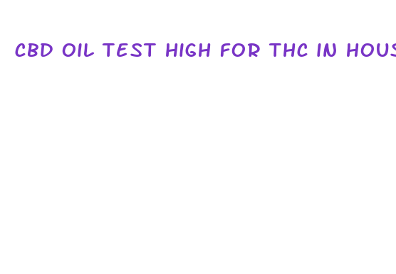 cbd oil test high for thc in houston tx