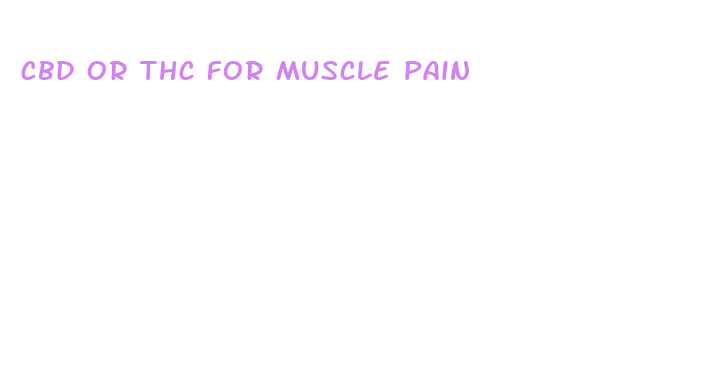 cbd or thc for muscle pain