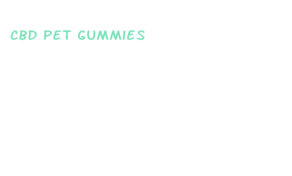 cbd pet gummies