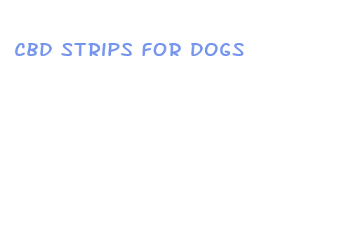 cbd strips for dogs