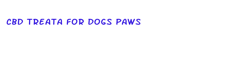 cbd treata for dogs paws