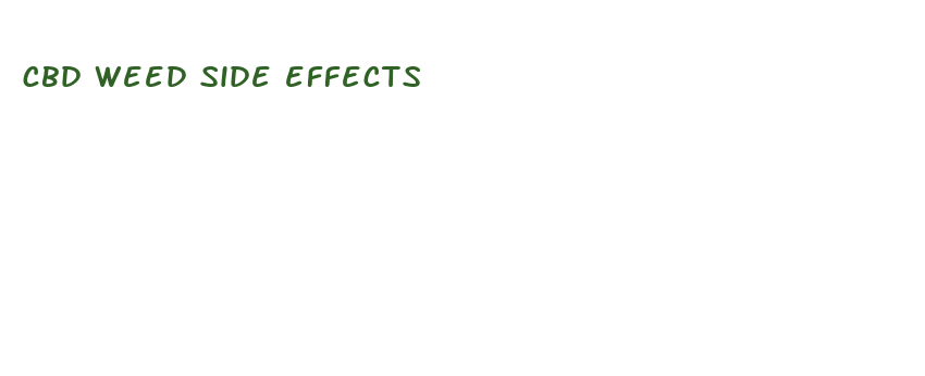 cbd weed side effects