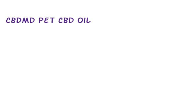 cbdmd pet cbd oil